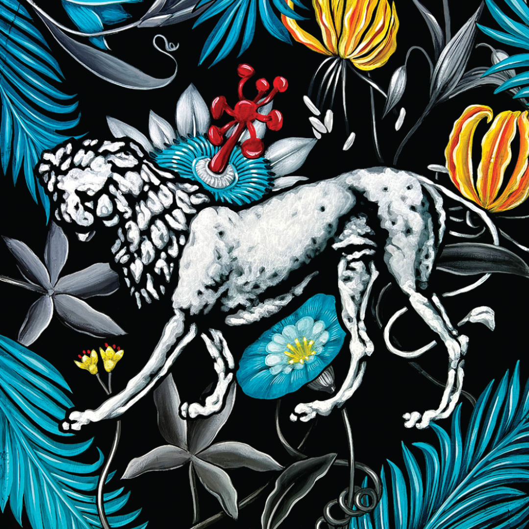 RARECAT Art Edition Cabernet