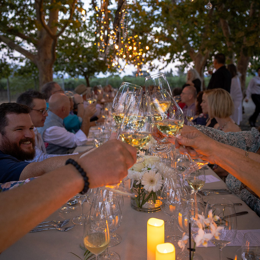 Sauv. Blanc & Napa Cabernet Bundle