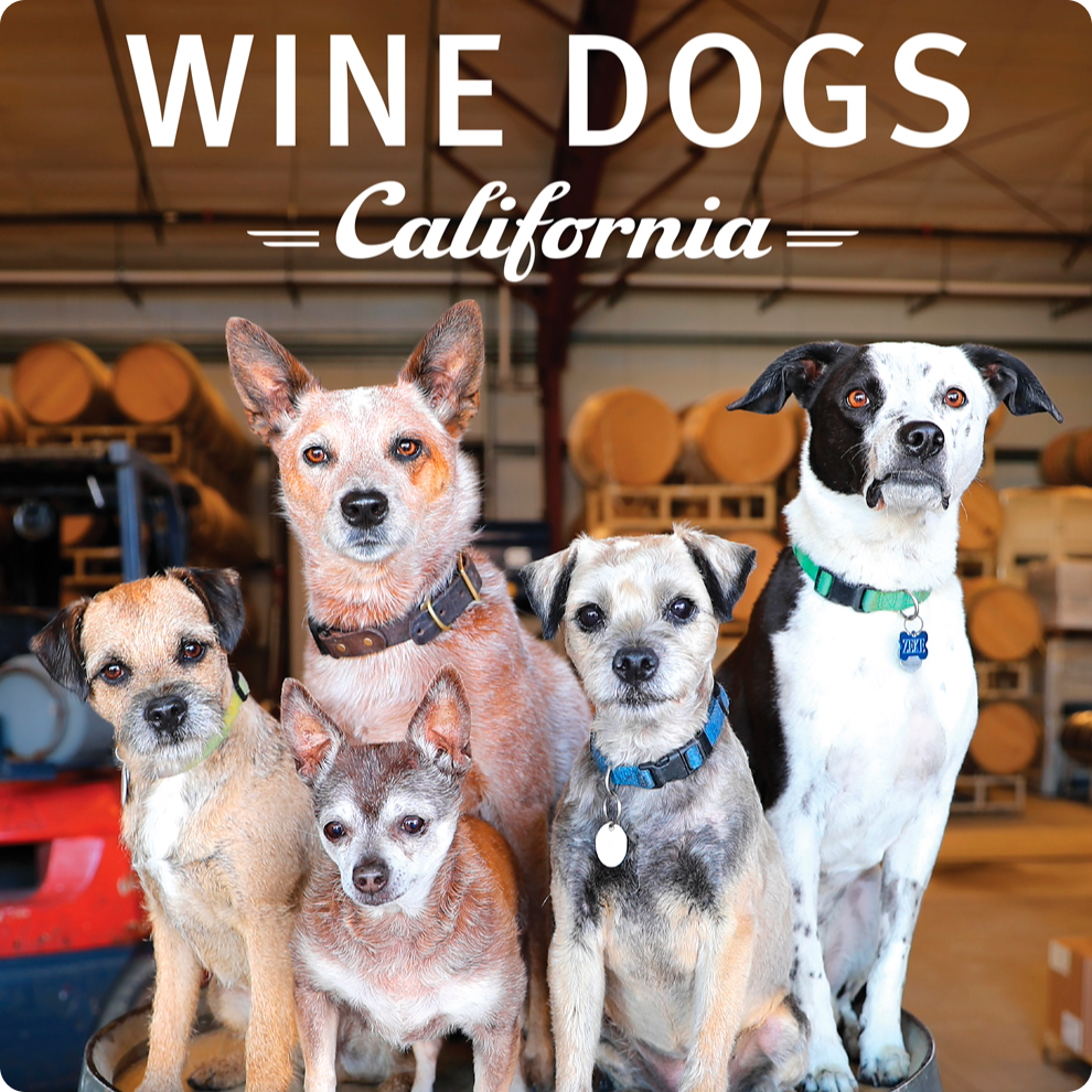Wine Dog Book