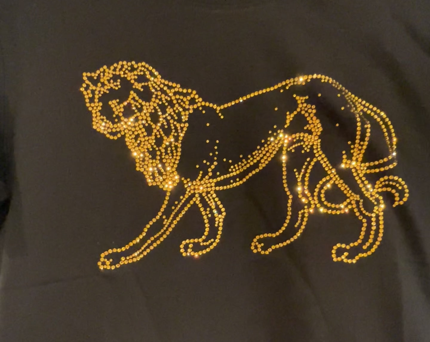 RARECAT-tshirt