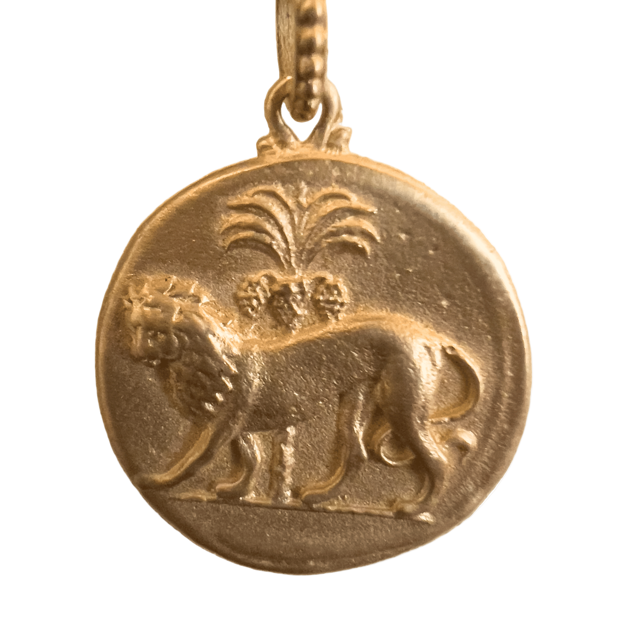 rarecat-charms-14kgold