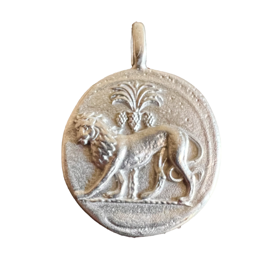 RARECAT Silver Charm