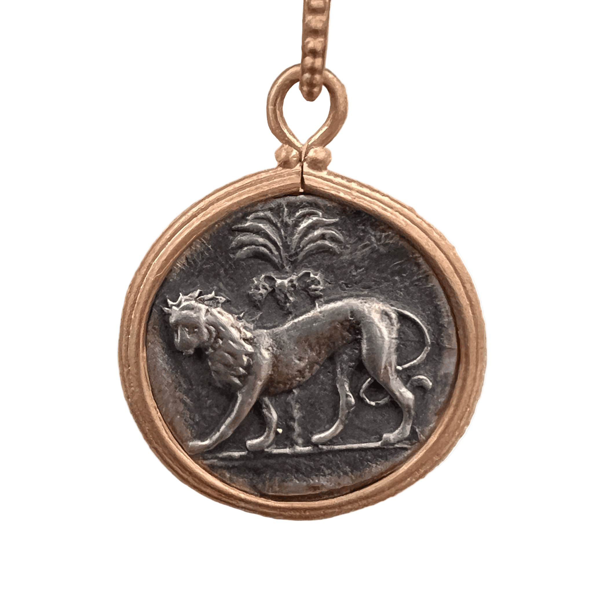 RARECAT Silver Charm