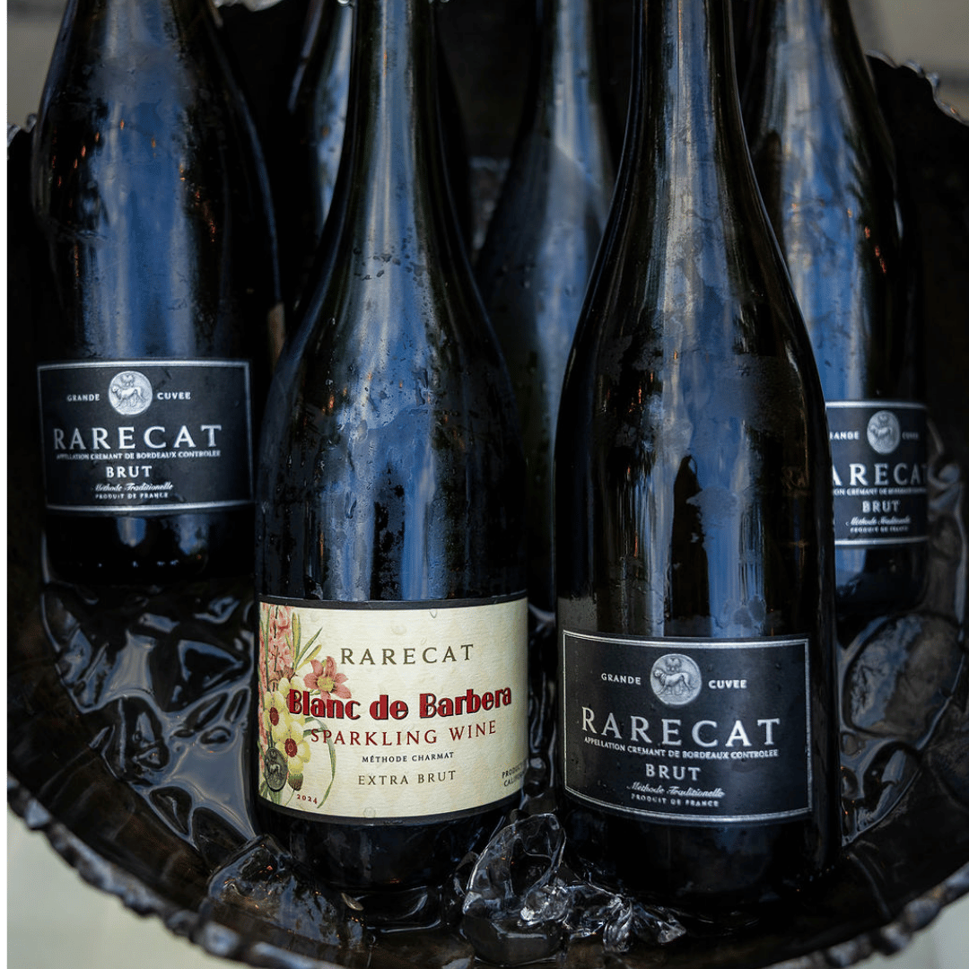 RARECAT Blanc de Barbera Traditionelle 2023