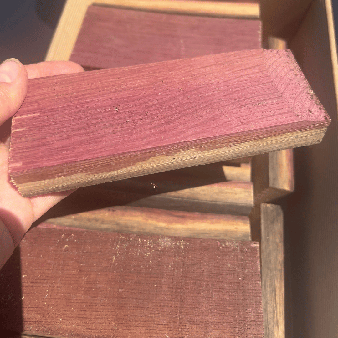 RARECAT Ultra-Premium Oak
