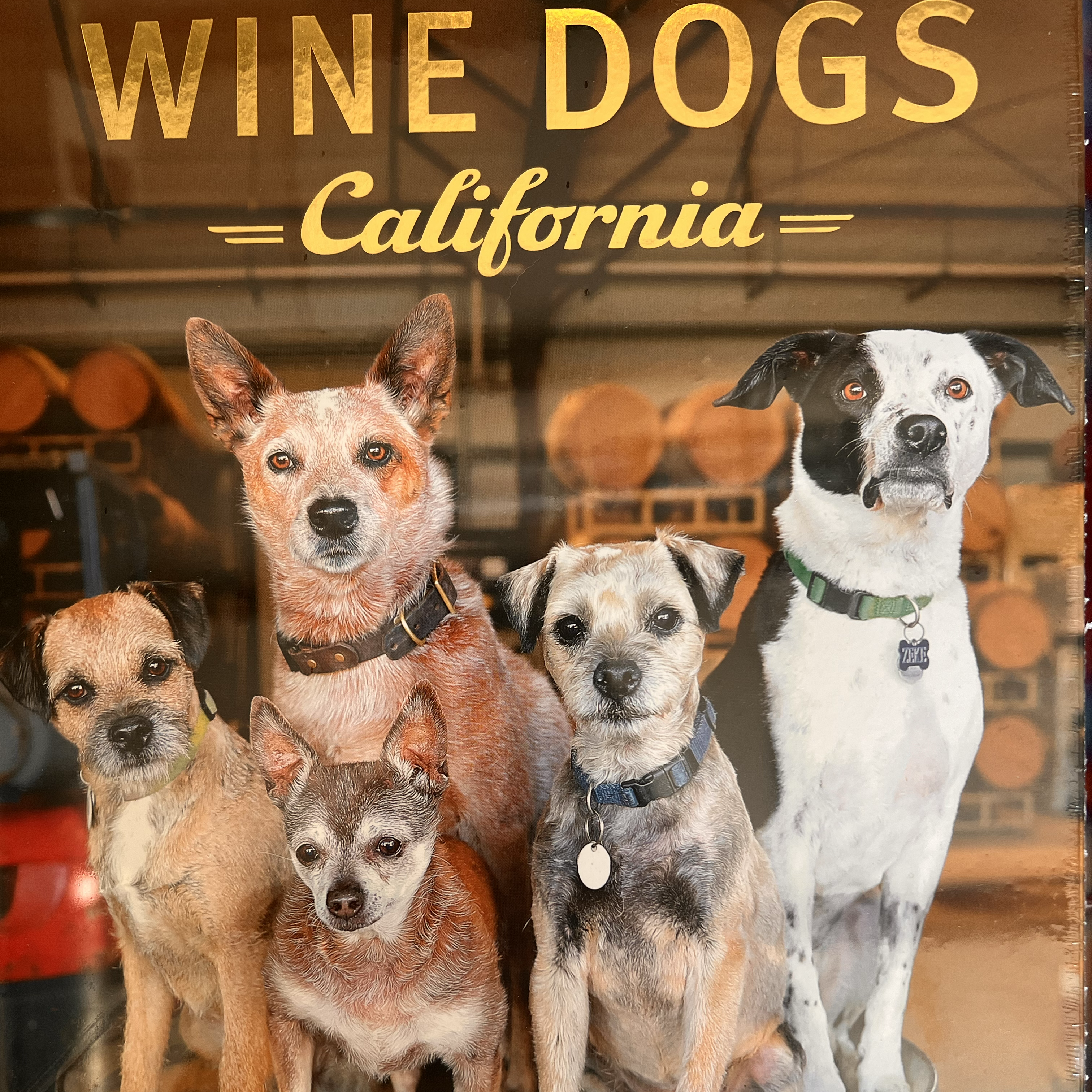 Wine Dog Book